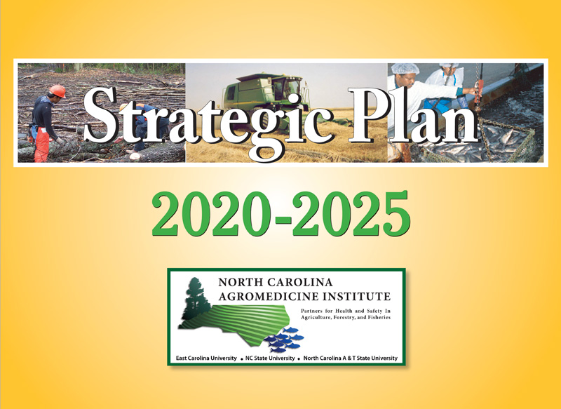 2025 Strategic Plan
